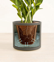 Load image into Gallery viewer, Dark Olive stand:all