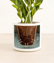 Load image into Gallery viewer, White stand:all