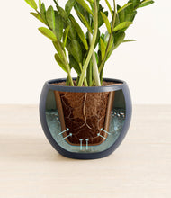 Load image into Gallery viewer, Deep Navy stand:all