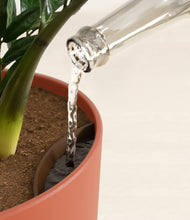 Load image into Gallery viewer, Earth Red stand:all