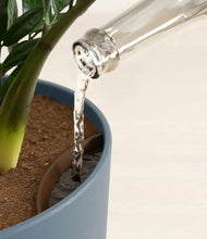 Load image into Gallery viewer, Iron Gray stand:all