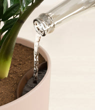 Load image into Gallery viewer, Sandy Pink stand:all