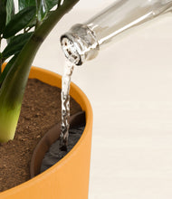 Load image into Gallery viewer, Sunset Orange stand:all