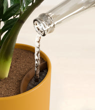 Load image into Gallery viewer, Sunset Orange stand:all