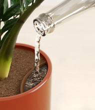 Load image into Gallery viewer, Glossy Red stand:all