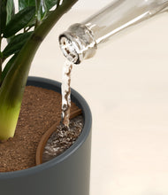 Load image into Gallery viewer, Iron Gray stand:all