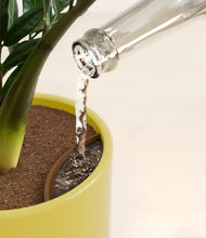 Load image into Gallery viewer, Key Lime Yellow stand:all