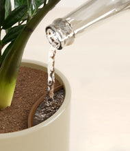 Load image into Gallery viewer, Sage Green stand:all