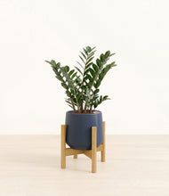 Load image into Gallery viewer, Deep Navy stand:light