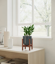 Load image into Gallery viewer, Iron Gray stand:walnut