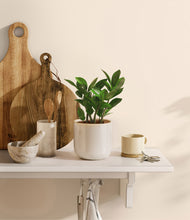 Load image into Gallery viewer, Snowdrift White