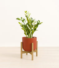 Load image into Gallery viewer, Earth Red stand:bamboo