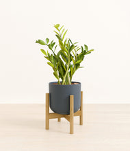 Load image into Gallery viewer, Iron Gray stand:bamboo
