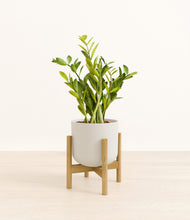 Load image into Gallery viewer, Natural Bamboo stand:bamboo