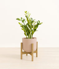Load image into Gallery viewer, Sandy Pink stand:bamboo