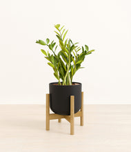 Load image into Gallery viewer, Stone Black stand:bamboo