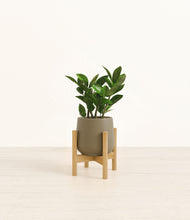 Load image into Gallery viewer, Olive stand:bamboo