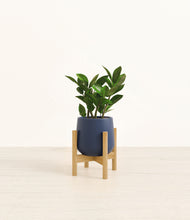 Load image into Gallery viewer, Deep Navy stand:bamboo