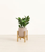 Load image into Gallery viewer, Eternal Gray stand:bamboo