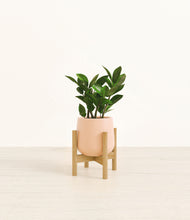 Load image into Gallery viewer, Gentle Pink stand:bamboo