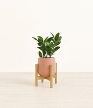 Load image into Gallery viewer, Calm Rose stand:bamboo