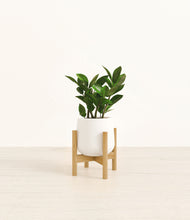 Load image into Gallery viewer, White stand:bamboo