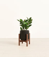 Load image into Gallery viewer, Black stand:walnut