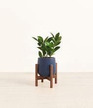Load image into Gallery viewer, Deep Navy stand:walnut