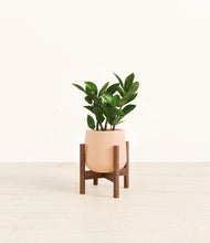 Load image into Gallery viewer, Gentle Pink stand:walnut