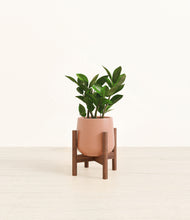 Load image into Gallery viewer, Calm Rose stand:walnut