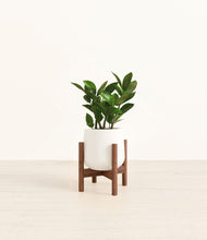 Load image into Gallery viewer, White stand:walnut