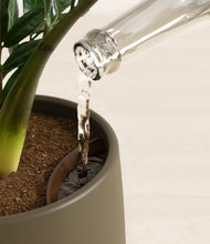 Load image into Gallery viewer, Olive stand:all