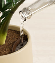 Load image into Gallery viewer, Almond Green stand:all