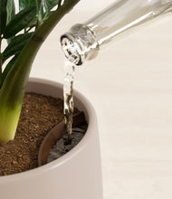 Load image into Gallery viewer, Eternal Gray stand:all