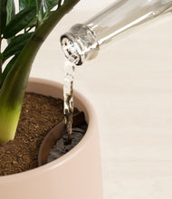 Load image into Gallery viewer, Gentle Pink stand:all