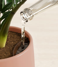 Load image into Gallery viewer, Calm Rose stand:all