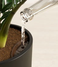 Load image into Gallery viewer, Black stand:all