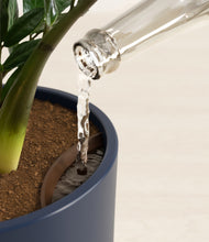 Load image into Gallery viewer, Deep Navy stand:all