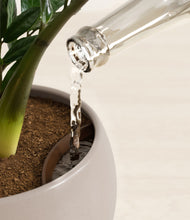 Load image into Gallery viewer, Eternal Gray stand:all