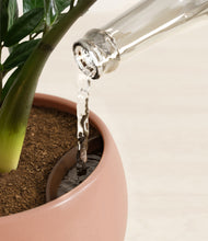 Load image into Gallery viewer, Calm Rose stand:all