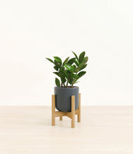 Load image into Gallery viewer, Iron Gray stand:bamboo