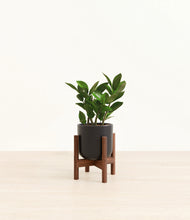 Load image into Gallery viewer, Stone Black stand:walnut