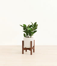 Load image into Gallery viewer, Cotton White stand:walnut
