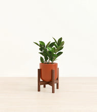 Load image into Gallery viewer, Glossy Red stand:walnut