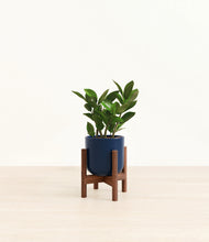 Load image into Gallery viewer, Twilight Blue stand:walnut