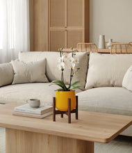 Load image into Gallery viewer, Mustard stand:walnut