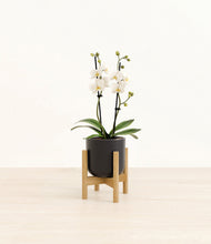 Load image into Gallery viewer, Stone Black stand:bamboo