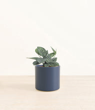 Load image into Gallery viewer, Deep Navy*****Profile