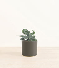 Load image into Gallery viewer, Dark Olive*****Profile