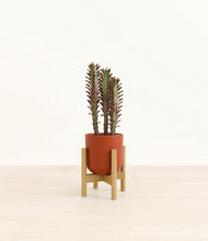 Load image into Gallery viewer, Earth Red stand:bamboo
